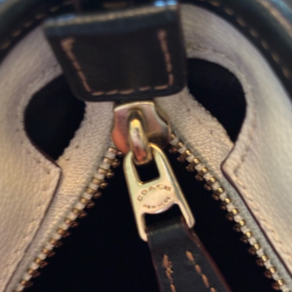 Coach Butterfly Bandana Paisley Zip Tote - Picture 6 of 9